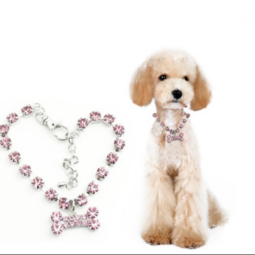 Stainless Steel Crystal Bones Pet Accessories