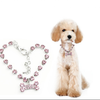 Stainless Steel Crystal Bones Pet Accessories