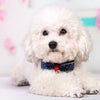 Dog Cats Tie Headdress Bowtie Dog Bells