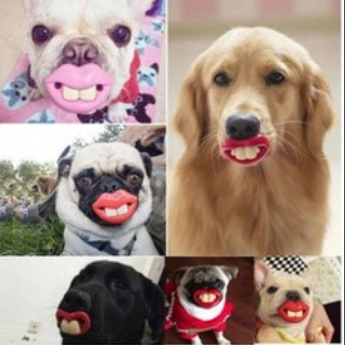 Pacifier Soother Small Dog Bulldog Pug Pet Chew Toys