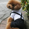 Pet Dogs Cat Clothing Prince Tuxedo Bow Tie
