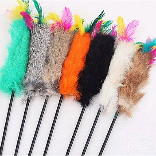 MultiColor Funny Cat Kitty Kitten Feather Teaser Wand